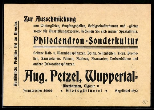 Carta rappresentante