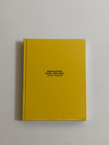 Wade guyton petzel new york - new,